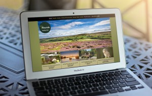 Wayside Holiday Park: Website by Intravenous