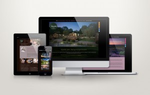 Wayside Lakes: Website by Intravenous