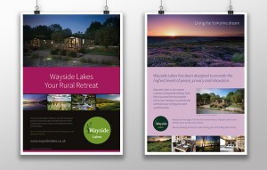 Wayside Lakes: Display Boards by Intravenous