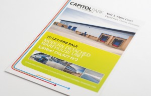 Capitol Park: Brochure by Intravenous